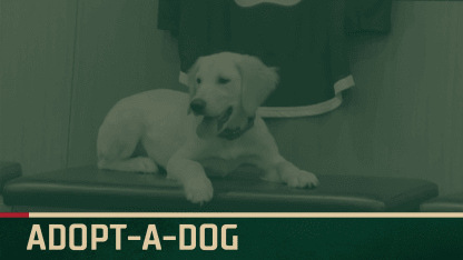 Adopt-a-Dog