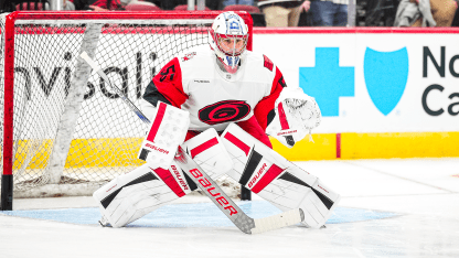 Canes Acquire Cayden Primeau On Waivers