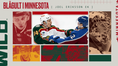 __ErikssonEk___New Wild blog