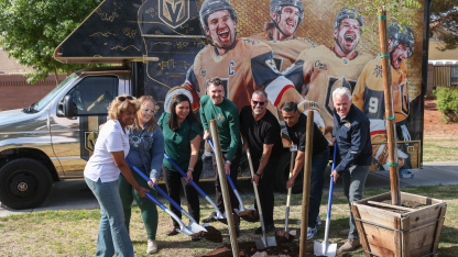 __Knight-Shield102225