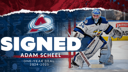 Avalanche Sign Scheel