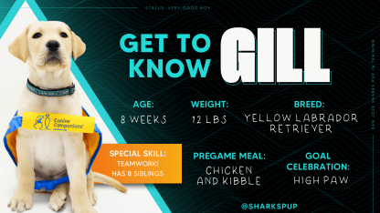 Get_to_Know_Gill