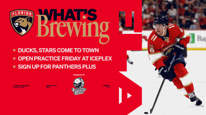 What’s Brewing: Ducks, Stars come to town; Open practice Friday at IcePlex