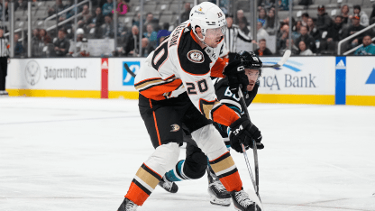 Ducks SJS preview 9.23.24