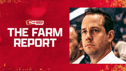 The Farm Report - 15.11.25