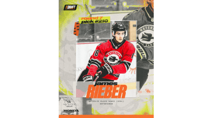 RieberWeb