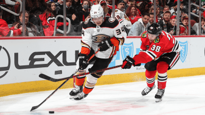 Ducks vs Chicagi