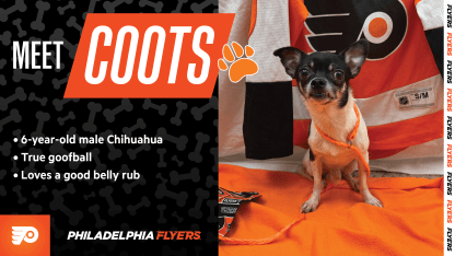 coots-paws