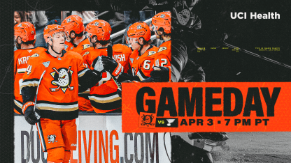 PREVIEW: Ducks Look to Bounce Back vs. Blues