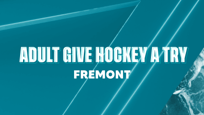 Adult Give Hockey A Try