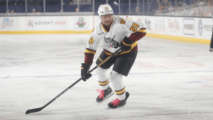 Montgomery Loaned To Bloomington (ECHL) From Chicago (AHL)