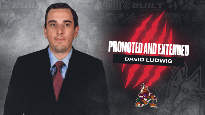 coyotes promote david ludwig to assistant general manager 2024
