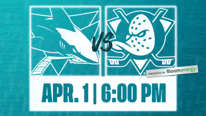 Sharks vs Ducks
