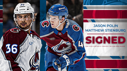 Avalanche Signs Stienburg, Polin