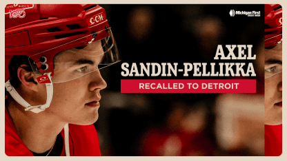 Red Wings recall Axel Sandin-Pellikka from Grand Rapids under emergency conditions