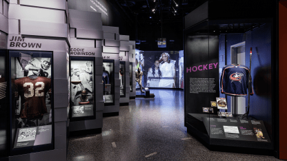 hockey_display