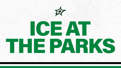 <center>Arlington - Ice at the Parks</center>