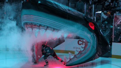 Hertl-Shark-Head