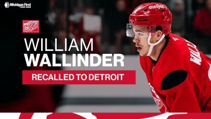 Red Wings recall William Wallinder from Grand Rapids