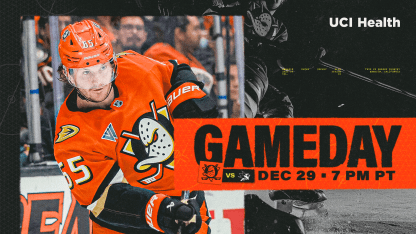 Preview: Ducks and Sharks Square Off in Second Meeting of Season