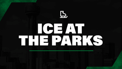 <center>Arlington - Ice at the Parks</center>