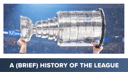 NHL Careers - history of the league
