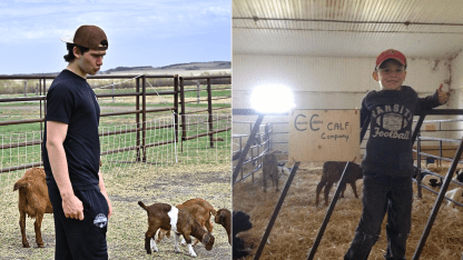 carels farm 3 1