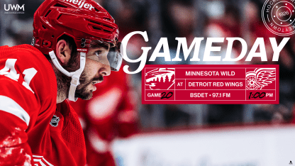 PREVIEW: Red Wings know what they’re capable of, want to show more against visiting Wild on Sunday afternoon