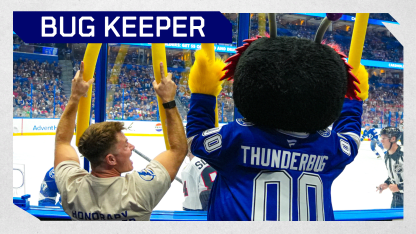 Bug Keeper Experience