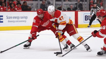 Flames Rally But Fall In Overtime To Red Wings