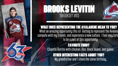 Levitin Player Profile