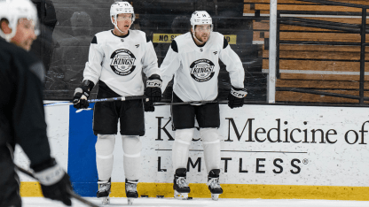 PanarinLaferriereWeb