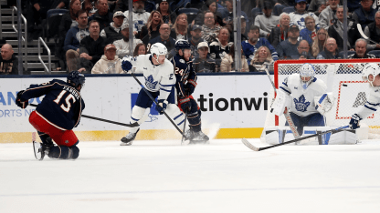 Fabbro roofs a wrister