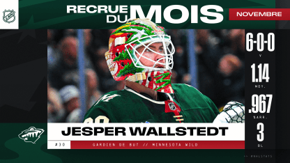 Wallstedt est la recrue du mois de novembre dans la LNH