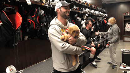 Blackhawks puppies