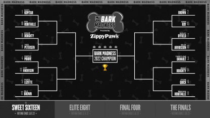 Bark_Madness_Bracket_Graphic_1920x1080_200323_v1