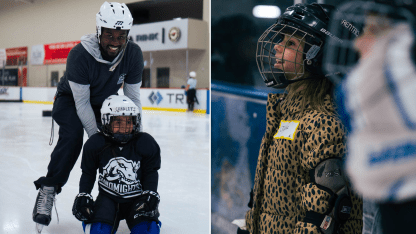 NHL foundation image 1