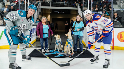 pucks and paws