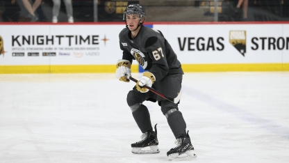 VGK Prospect Questionnaire: Lucas Van Vliet