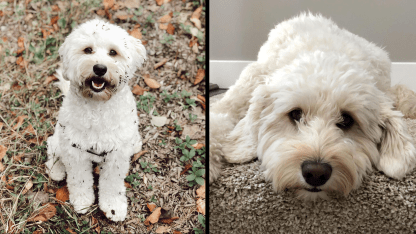 Ruby-Toninato-04-21-20