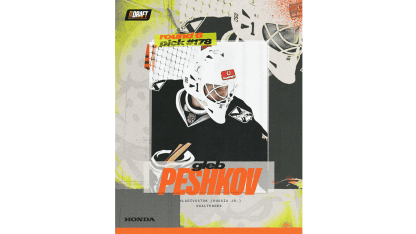 PeshkovWeb