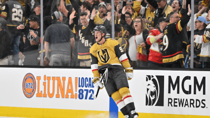 Vegas Golden Knights fantasy projections for 2024-25 season 32 in 32