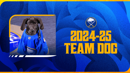 buffalo sabres 2024-25 team dog audie