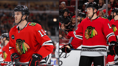 RELEASE: Blackhawks Activate Anderson, Raddysh from IR
