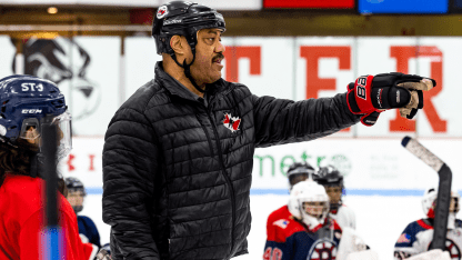 NHL foundation image 2