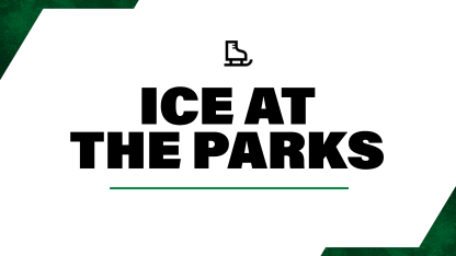 <center>Arlington - Ice at the Parks</center>
