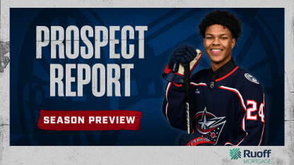 prospect_report_new