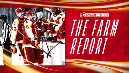 The Farm Report - 20.11.24 