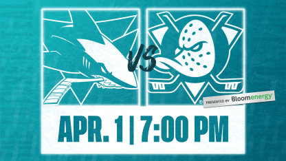 Sharks vs Ducks