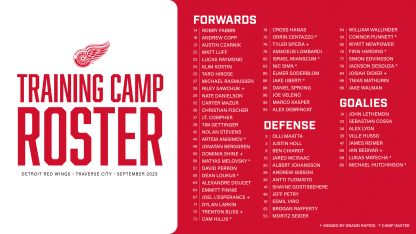 Detroit Red Wings on X: Full 2023 #DRWPT roster. ⤵️ Who are you